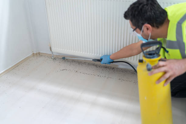 Best Pest Control Near Me in Rio Rico, AZ